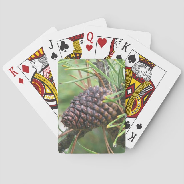 Pine Cone in Yellowstone Poker Cards (Back)