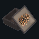 Pine Cone Jewelry Box<br><div class="desc">A digital rendering of a pine cone from Ma'alot-Tarshiha in northern Israel, the Galilee. The Aleppo Pine (Pinus halpensis), also known as the Jerusalem Pine is the only species of wild pine that grows in Israel. It is commonly accepted that the tree now called “pine” is the Biblical “oil tree”,...</div>