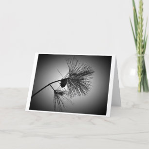 Pine Cone On Branch – Noir, card