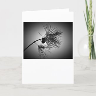 Pine Cone On Branch – Noir, card