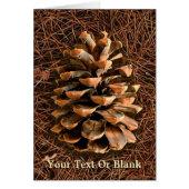 Pine Cone On Fallen Needles (Front)
