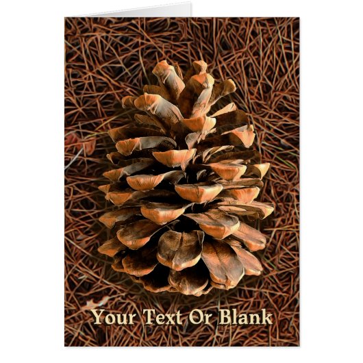 Pine Cone On Fallen Needles Cards (Front)