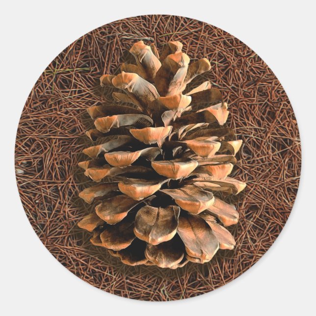 Pine Cone On Fallen Needles Classic Round Sticker (Front)
