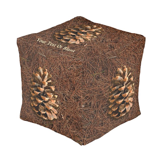 Pine Cone On Fallen Needles Pouf (Angled Front)