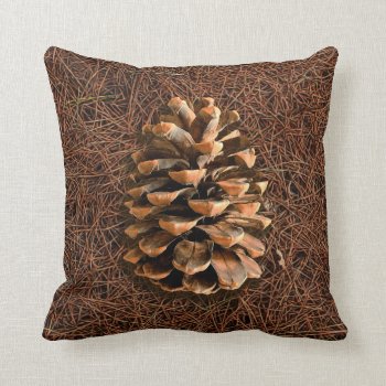 Pine Cone On Fallen Needles Throw Pillow by Bluestar48 at Zazzle