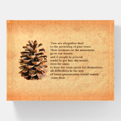 Pine Cone On Old Paper Paperweight