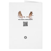 Pine Cone On Parchment Cards (Back)