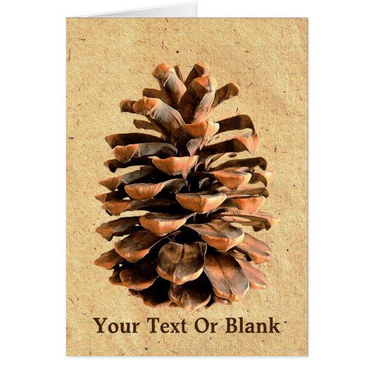Pine Cone On Parchment Cards (Front)