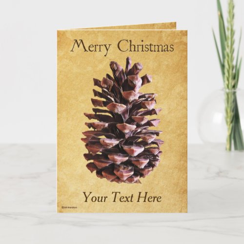 Pine Cone On Vintage Paper _ Christmas Card