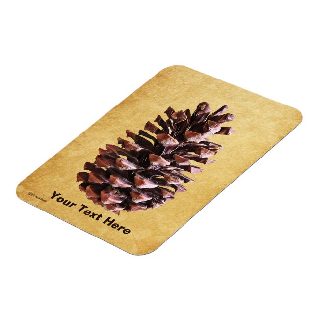 Pine Cone On Vintage Paper Magnet (Left Side)