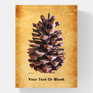 Pine Cone On Vintage Paper Paperweight