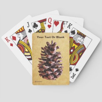 Pine Cone On Vintage Paper