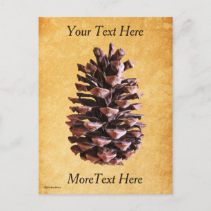 Pine Cone On Vintage Paper Postcard