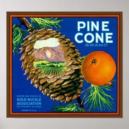 Pine Cone Oranges Poster