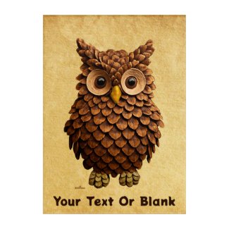 Pine Cone Owl