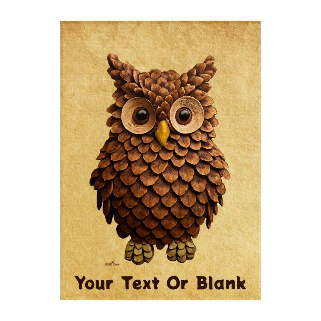 Pine Cone Owl Acrylic Print (Front)