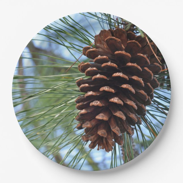Pine Cone Paper Plates (Front)