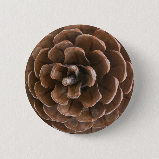 Pine cone pinback button (Front)