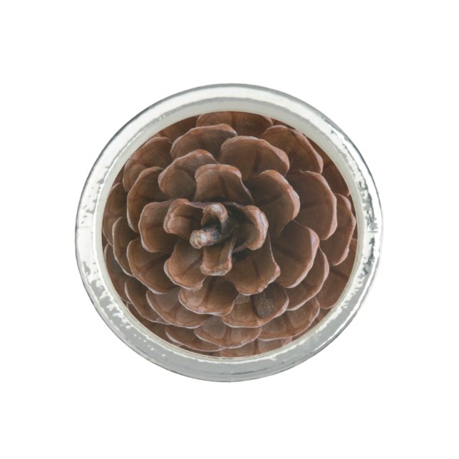 Pine cone ring (Front)