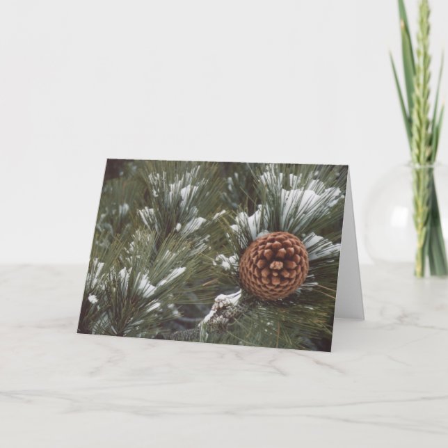 Pine Cone Rose Holiday Card (Front)