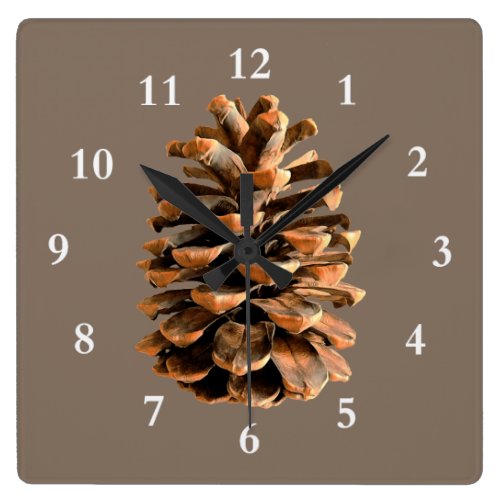 Pine Cone Square Wallclock