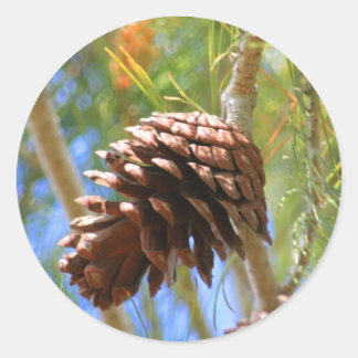 Pine Cone Sticker