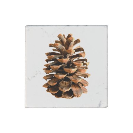 Pine Cone Stone Magnet