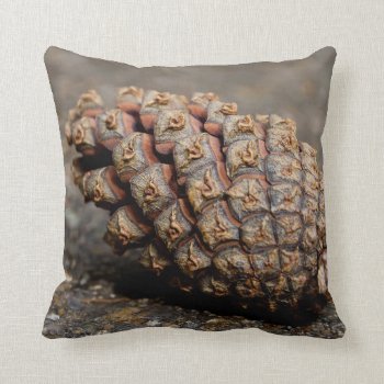 Pine Cone Throw Pillow by BamalamArt at Zazzle