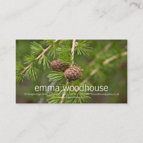 Pine Cones Business Card Templates