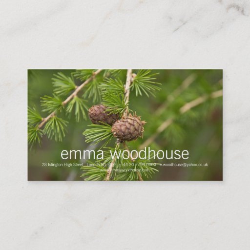 Customizable Pine Cones Business Card Templates