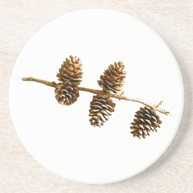 Pine Cones Drink Coaster (Front)