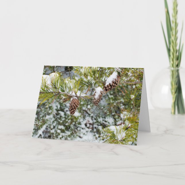 Pine Cones Holiday Card (Front)