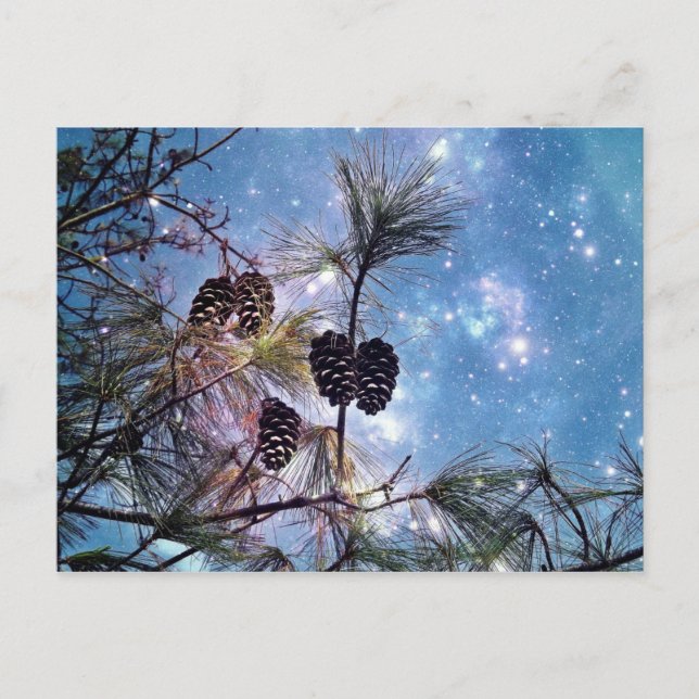 Pine cones in a tree under a starry night sky postcard (Front)
