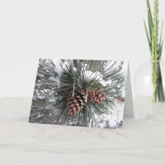 Pine cones in snow holiday card