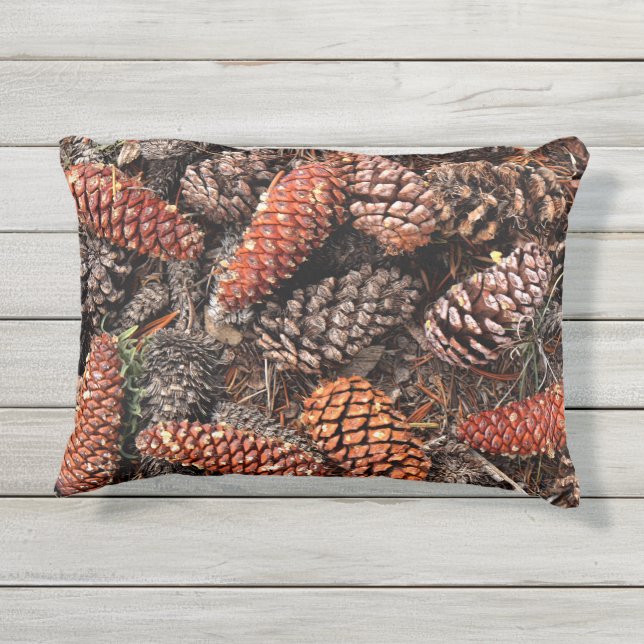 Pine Cones Outdoor Pillow (Back)