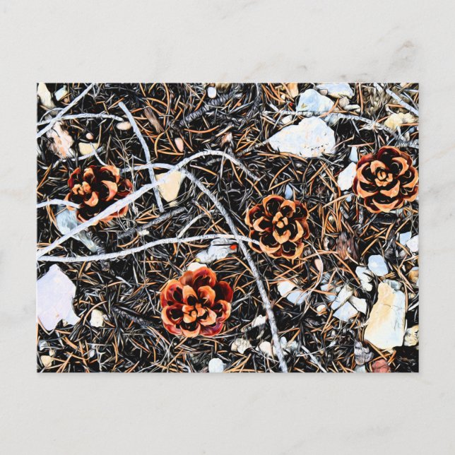 Pine Cones Postcard (Front)