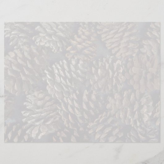 Pine cones texture (Front)