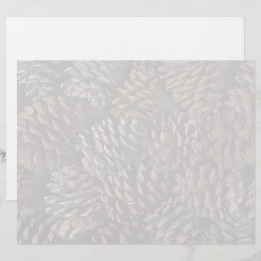 Pine cones texture (Front/Back)