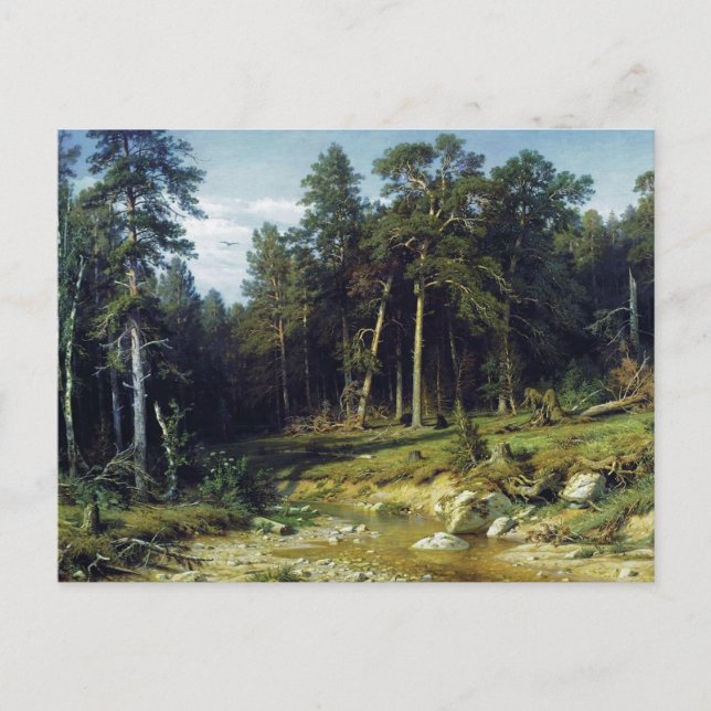 Pine Forest in Viatka Province Postcard (Front)