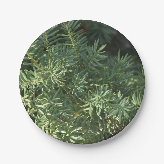 Pine Forest Paper Plates (Front)