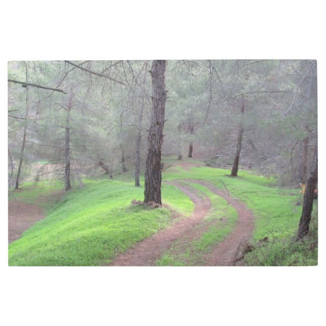 Pine Forest Road Metal Print (Front)