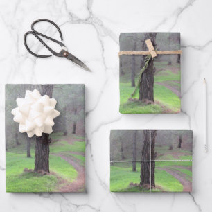 Pine Forest Road Wrapping Paper Sheets