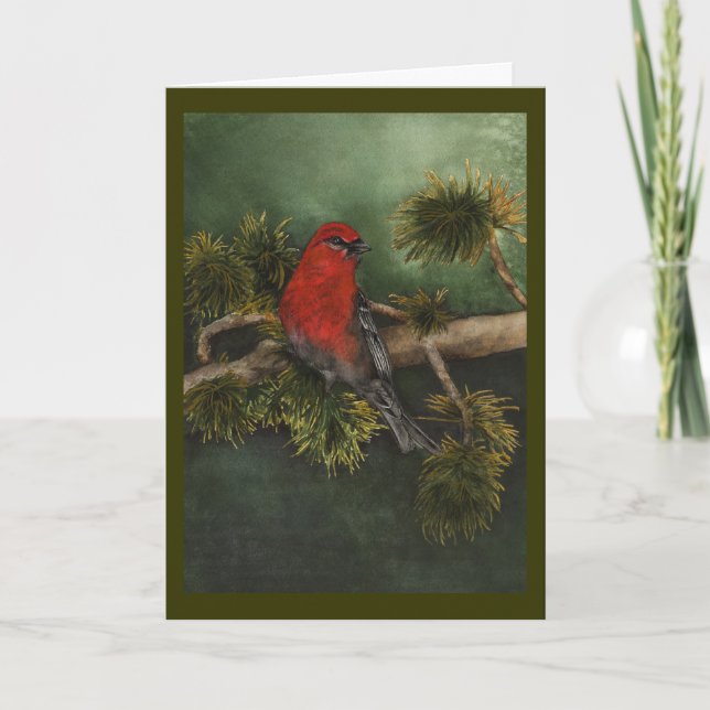 Pine Grosbeak Christmas Card (Front)