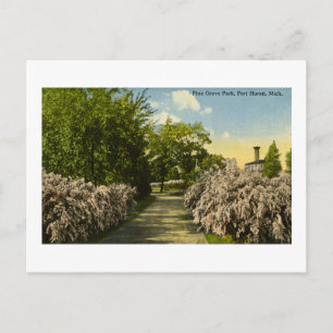 Pine Grove Park Port Huron Michigan Vintage Postcard