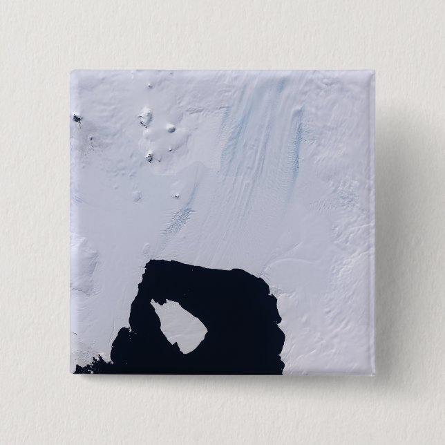 Pine Island Glacier Button (Front)