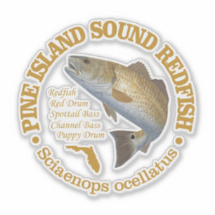 Pine Island Sound (redfish) Sticker