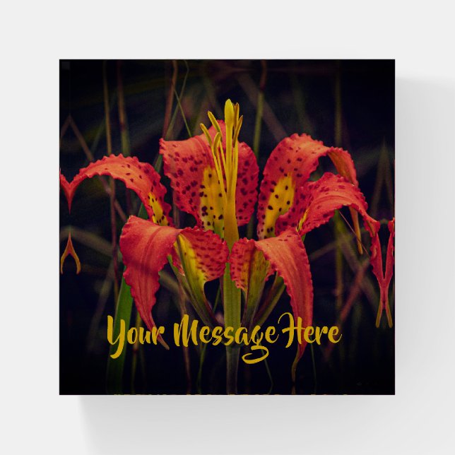 Pine Lily Personalized Paperweight (Front)