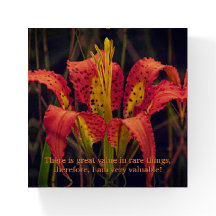 Pine Lily Square Paperweight