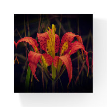 Pine Lily Square Paperweight