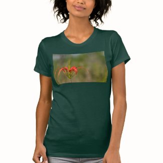 Pine Lily T-shirt for women